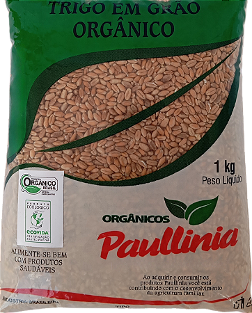 Trigo em Grão Orgânico Paullinia 1kg