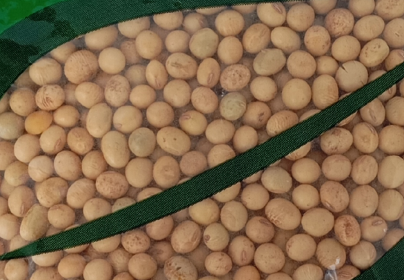 Soja em Grão Orgânico a Granel Paullinia Saco 25kg