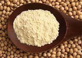 proteína de soja em pó 100g