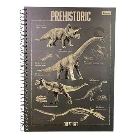 Caderno Univ Capa Dura 1 Materia Sauros 80f Foroni
