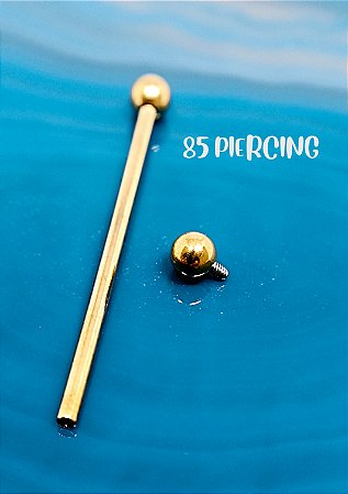 MEGABELL TITÂNIO GOLD PVD