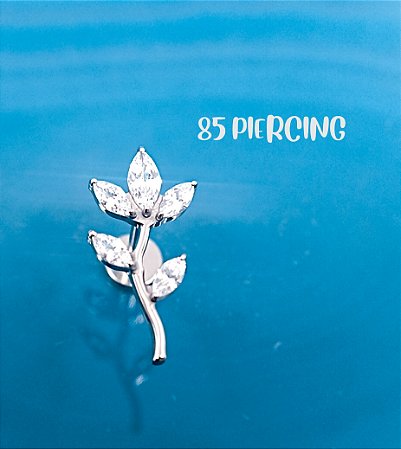 LBT RAMO ZIRCÔNIAS TITÂNIO