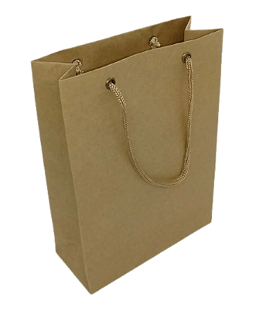 SACOLA DE PAPEL Nº5 KRAFT 18X10X5CM COM 10 UNIDADES