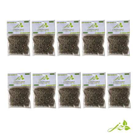 Alecrim (10 unidades)