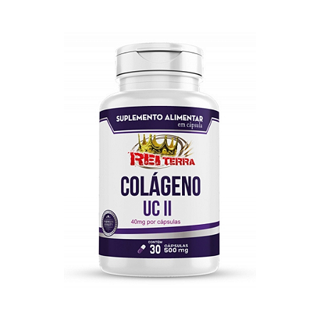 Colageno Tipo 2 30 Capsulas 500Mg Rei Terra