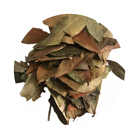 Chá de Insulina Em Folhas 30g (Cissus Sicyoides)