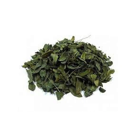 Chá De Folhas De Moringa Oleifera 30g (Moringa Oleifera)