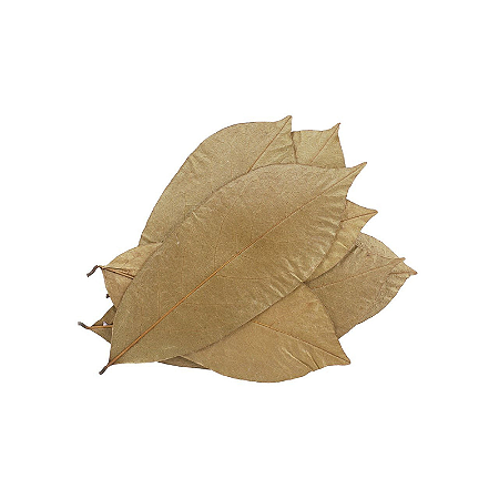 Chá De Folhas De Graviola 30g (Annona Muricata)
