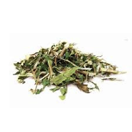 Chá De Mentruz Ou Erva De Santa Maria 30g (Dysphania Ambrosioides)