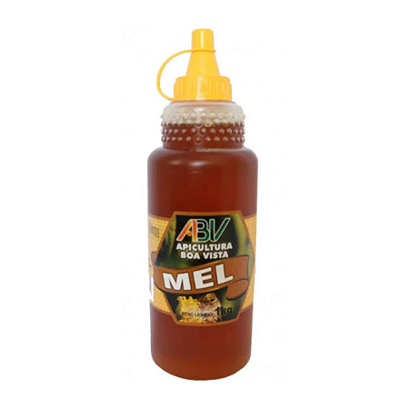 Mel Puro Silvestre Bisnaga 280G Apicultura Boa Vista