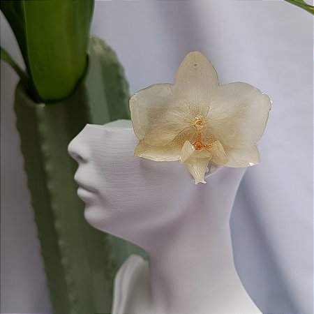 Presilha Clara - Orquídea Natural Preservada em Resina