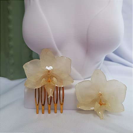 Arranjo Clara - Orquídea Natural Preservada em Resina