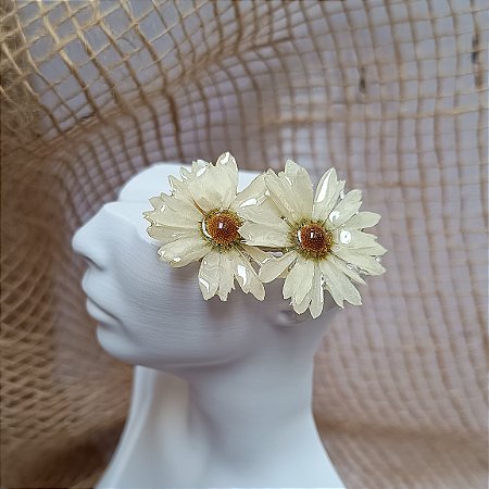 Arranjo - Mini Margarida Natural Preservada em Resina