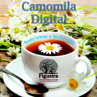 MP3  Camomila Digital  - 30 minutos | BemZen! Figueira Consultores