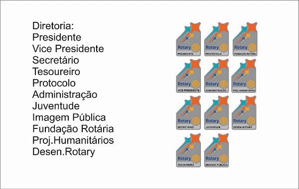 PINS LEMA 2024-2025 - DIRETORIA E COMISSÕES