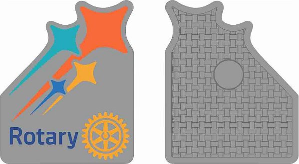 PIN  LEMA 2024-25 - ASSOCIADO