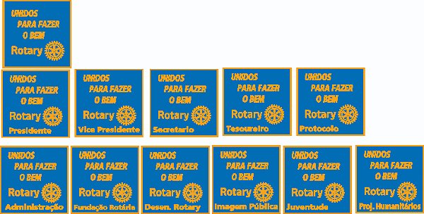 PIN DIRETORIA GESTÃO 2025-26 - AVULSOS