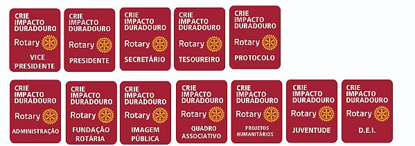 PINS DIRETORIA 2026-27