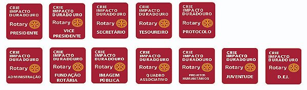 PINS DIRETORIA 2026-2027