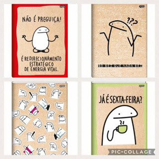 CADERNO BROCHURAO 80FLS FLORK JANDAIA