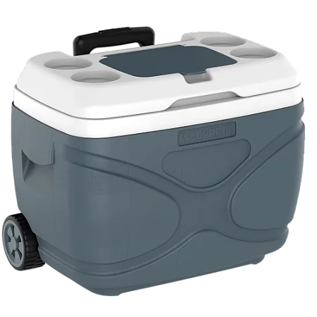 CAIXA TERMICA EVEREST 30L CINZA - 09000.0217.15