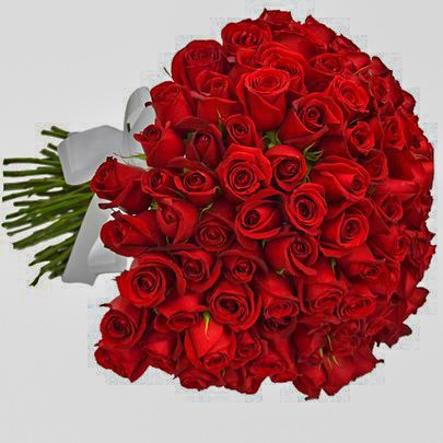 Buquê Grande 100 Rosas