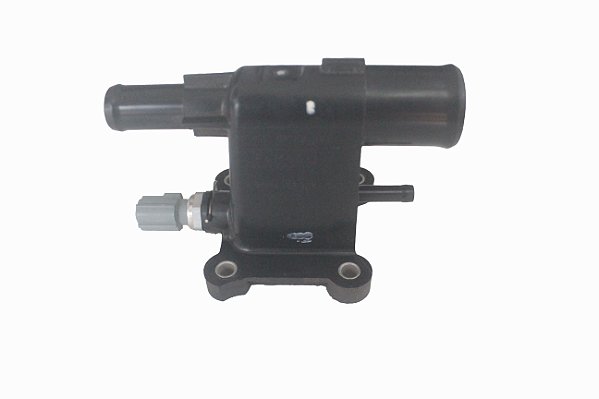 Cavalete Agua Com Sensor Ford Ecosport 2.0 Gdi Storm Orig