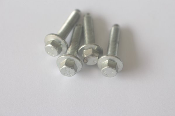 Parafusos Do Cavalete Agua Cabeçote Ford Ecosport 2.0 Gdi 18