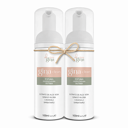 Kit 2 Gina Clean