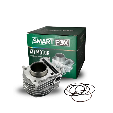 Kit Motor SmartFox NEO AT115 09-12