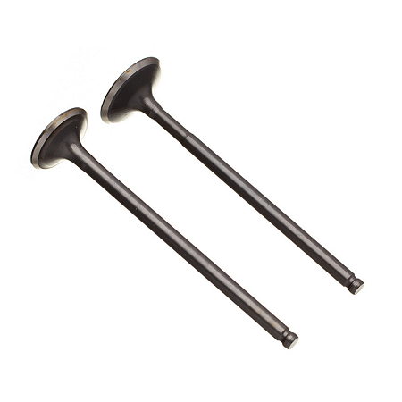 Valvula de Admissão/Escape WW3 Yes125 04/Intruder 125 07 Par