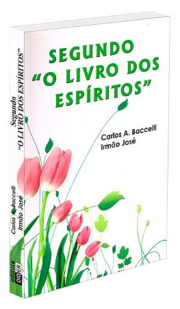 Segundo O Livro dos Espíritos