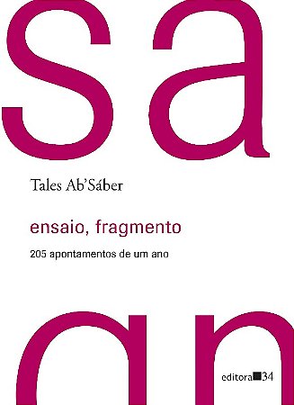 Ensaio, Fragmento - 205 Apontamentos de Um ano