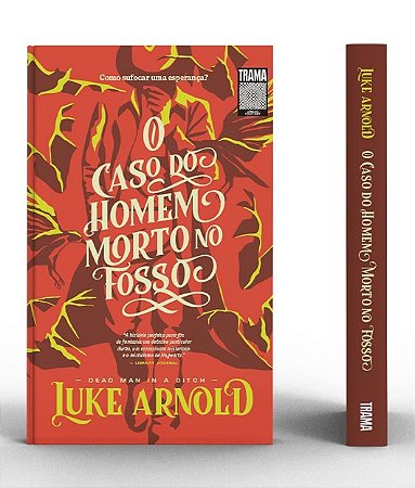 Caso do Homem Morto no Fosso, O