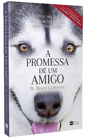 Promessa de Um Amigo, A