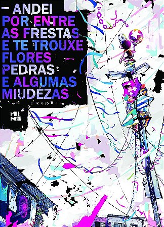 Andei por entre as Frestas e te Trouxe: Flores, Pedras e Algumas Miudezas