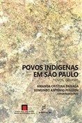 Povos Indigenas em Sao Paulo Noves Olhares