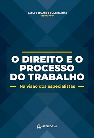 Direito e o Processo do Trabalho, O: na Visao dos Especialistas