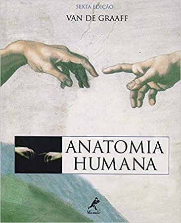 Anatomia Humana