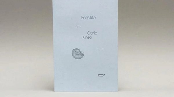 Satelite