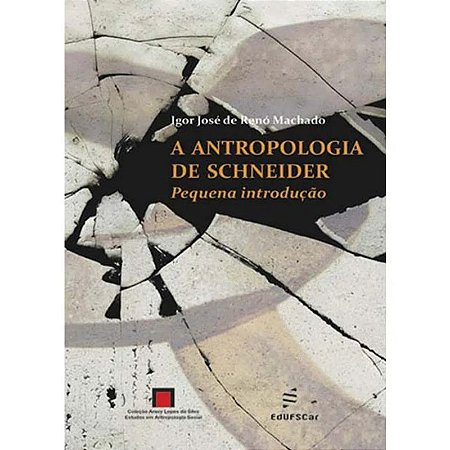 Antropologia de Schneider, A: Pequena Introducao