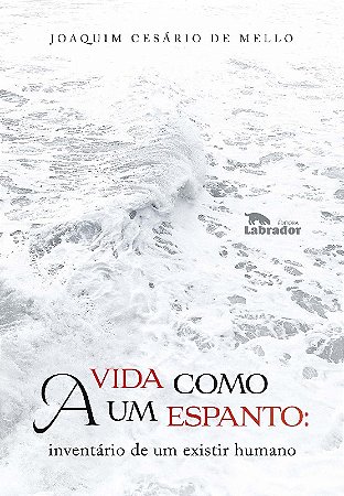Vida Como Um Espanto, a - Inventario de Um Existir Humano