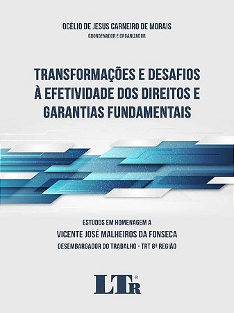 Transformacoes e Desafios a Efetividade dos Direitos e Garantias Fundamenta