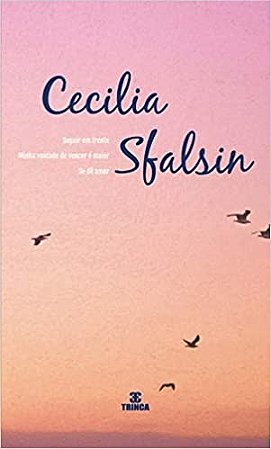 Box - Cecilia Sfalsin