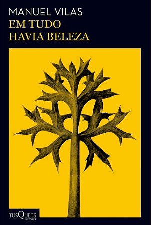 Em Tudo Havia Beleza