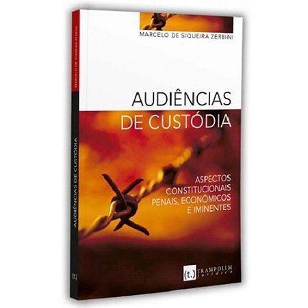 Audiências de Custódia - Aspectos Constitucionais, Penais, Econômicos e Imi
