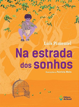 Na Estrada dos Sonhos