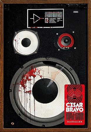 Amplificador