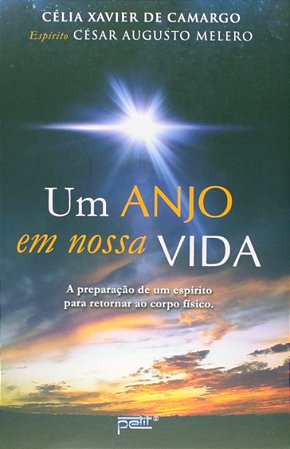 Anjo em Nossa Vida, Um - a Perparacao de Um Espirito para Retornar ao Corpo
