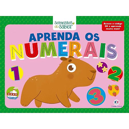 Aprenda os Numerais